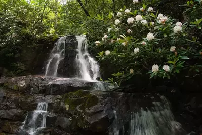 waterfall during summer in the smokies