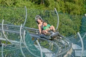 people riding on the alpine coaster rowdy bear mountain