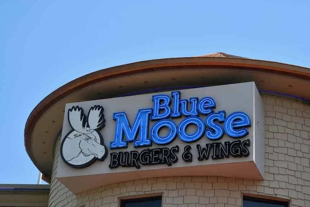 blue moose pigeon forge tn restaurant