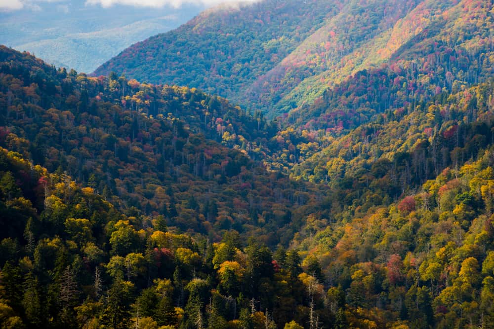 smoky mountains in the fall