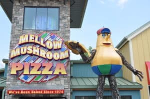 mellow mushroom in pigeon forge