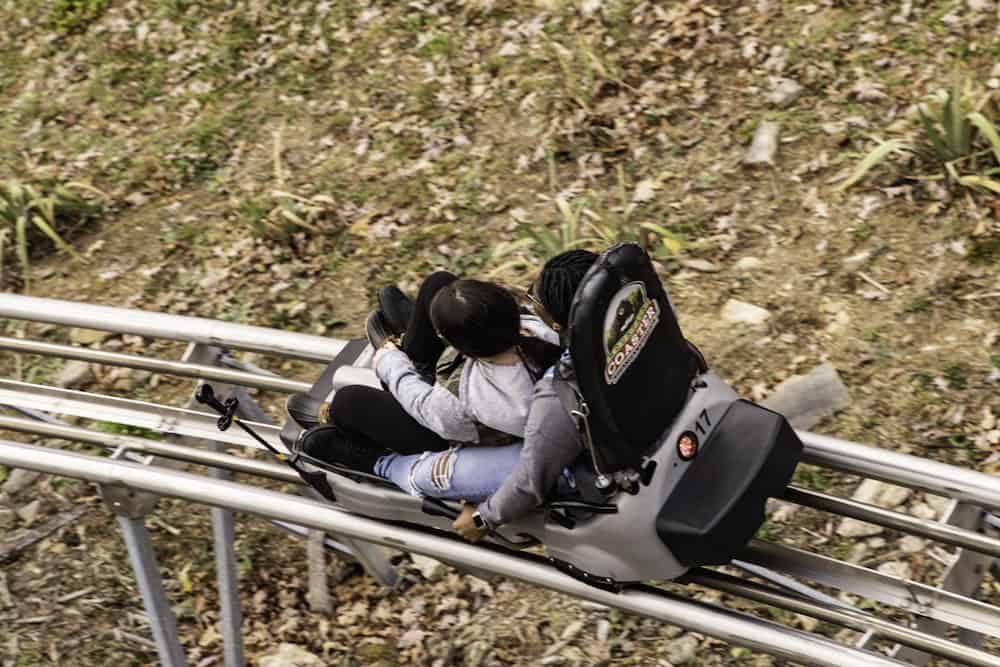 3 Reasons to Ride the Alpine Mountain Coaster at Rowdy Bear Mountain in Gatlinburg