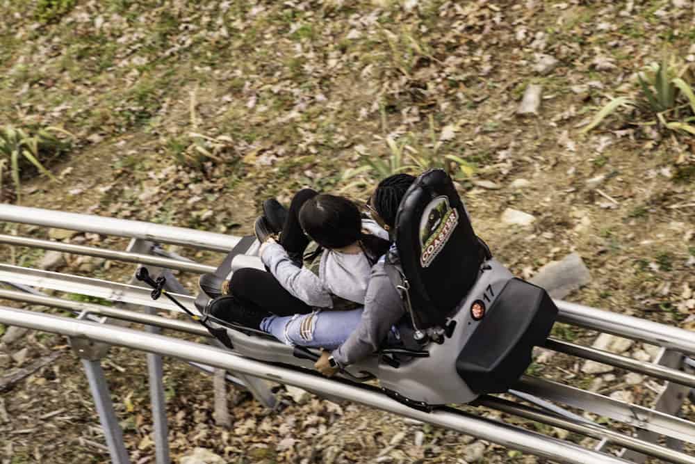 rowdy bear mountain coaster gatlinburg