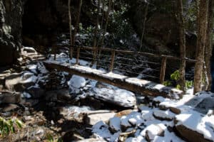 hiking trail during the winter