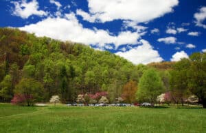 spring break in the smoky mountains